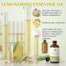 EVOKE OCCU Lemongrass Essential Oil and Lemon Essential Oil - 4 Fl Oz - Buy Online on GoSupps.com
