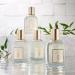 Tocca Giulietta Scented Dry Body Oil - 3.4 Fl Oz | Olio Sublime Profumato with Pink Tulips Green Apple & Vanilla Orchid | International Shipping Available - Buy Online on GoSupps.com