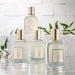 Tocca Stella Scented Dry Body Oil - 3.4 Fl Oz | Olio Sublime Profumato Body Fragrance with Blood Orange Freesia & Spicy Lily | International Shipping Available - Buy Online on GoSupps.com
