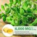 Oil of Oregano with Black Seed Oil 2 in 1 Formulated with Black Seed Oil (240) - Buy Online on GoSupps.com