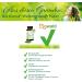 Organic Kamut Wheatgrass Juice Powder - 45g | Nutrient-Rich Superfood for Health & Wellness - Buy Online on GoSupps.com