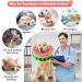 Buy Inflatable Dog & Cat Recovery Collar | Adjustable Buckle | Leak Protection for Post-Operation Care - Sizes S (12.7cm-20.3cm) - Buy Online on GoSupps.com