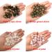 MEISO Healing Crystals 12 Pcs Agate Quartz Crystal Mushroom Shape Decor Cute Natural Healing Mushroom Decor for Meditation Chakra Balancing Reiki Yoga Garden Yard Decoration Fish Tanks Home Decor 12 Pcs (Crystal) - Buy Online on GoSupps.com
