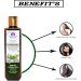 Blessfull Healing Organic Green Tea & Aloe Vera Natural Hair Conditioner 200 ml (Packing May Vary) - Buy Online on GoSupps.com