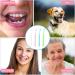 Wllhyf End Tuft Toothbrush Set - Soft Bristle Cleaning for Crowns Bridges & Implants | 4 Pack in White Pink Blue Green | Ideal for Hard-to-Reach Areas - Buy Online on GoSupps.com