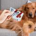 Tick Remover Card Tick Card for Dogs 1 Pocket Size Tick Card with Magnifying Glass Tick Remover Card for People Cats and Dogs - Buy Online on GoSupps.com