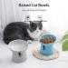 TAMAYKIM 8oz Tilted Ceramic Raised Cat Bowls Set - Blue & Grey | Porcelain Elevated Feeding Dish for Kitty | Stress-Free, Dishwasher & Microwave Safe | 2-Pack - Buy Online on GoSupps.com