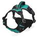 Dociote Anti Zug Dog harry Breast harness safety harness with handle and reflector strip no pull dishes for middle & large dogs m turquoise turquoise m (1 Pack)