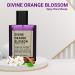 Divine Orange Blossom - Signature Non-Alcoholic Perfume for Men & Women | Spicy Floral Woody Fragrances | Long Lasting Arabian Perfumes 1.69 Fl. Oz. - Buy Online on GoSupps.com