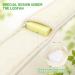 Back Scrubber for Shower - Natural Loofah Exfoliating Body Scrubber for Men & Women (2 Packs) | Perfect Shower Accessory - Buy Online on GoSupps.com