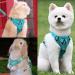 Fineasy Adjustable Cat Harness & Dishes - Safe Cat Neck Leash & Soft Harness for Cats | Green (M) - Buy Online on GoSupps.com