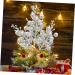 HOMSFOU 20pcs Foam flower arrangement artificial Christmas Picks xmas berries decorations cutting Christmas Tree Picks artificial fruit decorate Artificial Berry crafts berry branch Silver 19X5X5CM - Buy Online on GoSupps.com