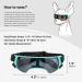 Enjoying Sunglasses for Small Dogs UV Protection Windproof Anti-Fog Dog Goggles Blue Pet Gear - Buy Online on GoSupps.com