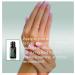doTERRA Balance Essential Oil Grounding Blend - 15 ml | Buy Online Now - Buy Online on GoSupps.com