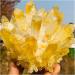 Crystal Cluster Rare New Yellow Phantom Quartz Crystal Cluster (Size : 300-350g) - Buy Online on GoSupps.com