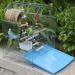 Wire Parakeet Bird Cage with Feeder, Waterer, and Stand - Ideal for Budgie, Finches, Canaries, Lovebirds, and Small Parrots - Buy Online on GoSupps.com