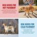 4 Pairs Anti-Slip Dog Socks with Adjustable Straps - Perfect for Hardwood Floors & Outdoor Use - Buy Online on GoSupps.com