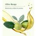 LE PETIT OLIVIER - 3 Savons de Marseille - Huile d'Olive - Parfum de la R gion de Grasse - Nettoient la Peau en Douceur - Fabriqu en France - 3x100g 33.33 ml (Lot de 3) HUILE D'OLIVE - Buy Online on GoSupps.com