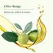 Le Petit Olivier Moisturizing Day Skin Care | Olive Oil-Enriched Soothing & Hydrating | Natural Ingredients | Silicone Free | For Normal to Dry Skin | 1.6 oz - Buy Online on GoSupps.com