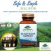 Blood Sugar Harmony Capsules with Organic Cinnamon, Nopal Cactus & Gymnema Herb - 60 Kosher Capsules by Pure Mountain Botanicals - Buy Online on GoSupps.com