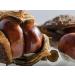 Dr. Bio Horse Chestnut Oil 50ml - Natural Relief for Varicose Veins & Massage | Buy Internationally - Buy Online on GoSupps.com