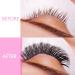 Premade Fans Eyelash Extensions 12D-C-0.07-12 Premade Volume Lash Extensions 320 Fans Pointed Base Fans 0.07 Premade Volume Fans C D Curl(12D-C-0.07-12) 12 mm 12D-C-0.07 - Buy Online on GoSupps.com