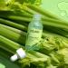 Sweet Chef Celery + Hyaluronic Acid Serum Shot - Hydrating & Brightening Vegan Serum (1 fl oz) - Buy Online on GoSupps.com