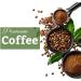RARA PERFORMANCE Coffee - 200g - Arabica Instant Coffee with Lion's Mane & Rhodiola (80 servings) - Buy Online on GoSupps.com
