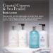 Molton Brown Coastal Cypress & Sea Fennel Body Lotion 300 ml New Version - Buy Online on GoSupps.com