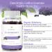 AFXMATE Sambucus Elderberry Gummies with Zinc & Vitamin C - 120 Gummies (2 Pack) | Immune Support Supplement for Adults & Kids - Buy Online on GoSupps.com