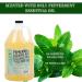 Adams Handmade Peppermint Castile Liquid Soap 1 Gallon Refill - 128 Fl Oz - Buy Online on GoSupps.com