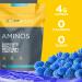 Purbolics Aminos - Muscle Recovery & Growth Support | 4g Amino Acids, Beta-Alanine, 0 Cal, 60 Servings (Blue Steele) - Buy Online on GoSupps.com