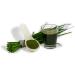 Green Light Power - Pure Barley Grass & Primal Wheat Grass Juice Powder | 170g Raw Gluten-Free No Additives | International Shipping - Buy Online on GoSupps.com