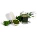 Green Light Power - Pure Barley Grass & Primal Wheat Grass Juice Powder | 450g | Gluten-Free Raw Food Quality No Additives - International Shipping - Buy Online on GoSupps.com