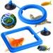 Molain Fish Feeding Ring 2 Pieces Fish Feeder Aquarium Fish Turtle Tank Accessories Food Feeder Circle For Guppy Bettas goldfish Turtle (Blue) - Buy Online on GoSupps.com