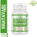 Natural and Pure Herbal Asparagus RACEMOSUS (Shatavari) Extract Capsules | Highest Potency 100% Herbal Product | Pack of 60 X 500 mg. Veg. Capsules (Pack of 4 Jar) 60 Count (Pack of 4) - Buy Online on GoSupps.com