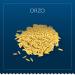 Barilla Orzo Pasta 16 oz. Box (Pack of 16) - Non-GMO Durum Wheat Semolina - Italy's #1 Pasta Brand - Kosher Certified - Buy Online on GoSupps.com