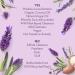 Love Beauty and Planet Soothing Spa Hand Wash with Argan Oil & Lavender | 13.5 fl oz - Buy Online on GoSupps.com