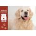 Vital Paws 75 Urine & Bladder Capsules for Dogs & Cats | Cranberry Mannose & Nettle Home Remedies - Buy Online on GoSupps.com