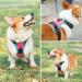 Phoepet XL Reflective Dog Harness - Adjustable Vest with Training Handle 2 Metal Hooks & Snap Buckles - Rosa - Buy Online on GoSupps.com