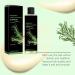  BRVLY Rosemary Shampoo with Hydrolyzed Keratin - Rosemary Hair Growth Shampoo for Women Shampoos for Men and Women Travel Size (3) - Buy Online on GoSupps.com