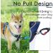 Thinkpet Anti-Pull Dog Harness - Adjustable Reflective Breathable with Handle (Small Royal Blue) - No Choke Design for Easy Control - Buy Online on GoSupps.com