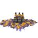 100% Pure Moringa Oil with Blue Lotus & Monoatomic Gold - Scent of the Nile - 1 oz | Premium Skincare - Buy Online on GoSupps.com