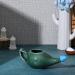 HealthGoodsIn Ceramic Neti Pot Premium Handcrafted Durable Dishwasher Safe with 2 Silicone Nozzle Tip 225 Ml. (7.6 FL Oz) Capacity (Green Crackle) - Buy Online on GoSupps.com