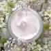 Alpyn Beauty PlantGenius Melt Moisturizer - Clean Wildcrafted Luxury Skin Care - 1.7 fl oz - Buy Online on GoSupps.com