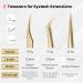 Beauty7 Professional Stainless Steel Eyelash Extension Tweezers - Curved Precision Tweezers with Etui - Multi-Way Gold Color | Shop Now! - Buy Online on GoSupps.com