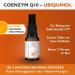 Code Vital Coenzyme Q10 Ubiquinol Active Spray 10ml | 6x Bioavailability | German University Developed | Boost Your Energy Today! - Buy Online on GoSupps.com