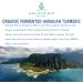 Organic Fermented Turmeric Powder | Hawaiian Grown White Gold | Pure Curcumin with Ginger | Probiotic Superfood Supplement 56g - Buy Online on GoSupps.com