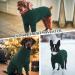 Iecoii Warm Turtleneck Dog Sweater - Winter Clothing for Small Medium & Large Dogs Chihuahua French Bulldog Labrador - X-Large Green - Buy Online on GoSupps.com