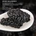 Gavigain Organic Dried Mulberries NonGMO Unsulfured Unsweetened No Additives Natural Wild Black Mulberries Wax Free Nonsand Healthcare Food - Buy Online on GoSupps.com